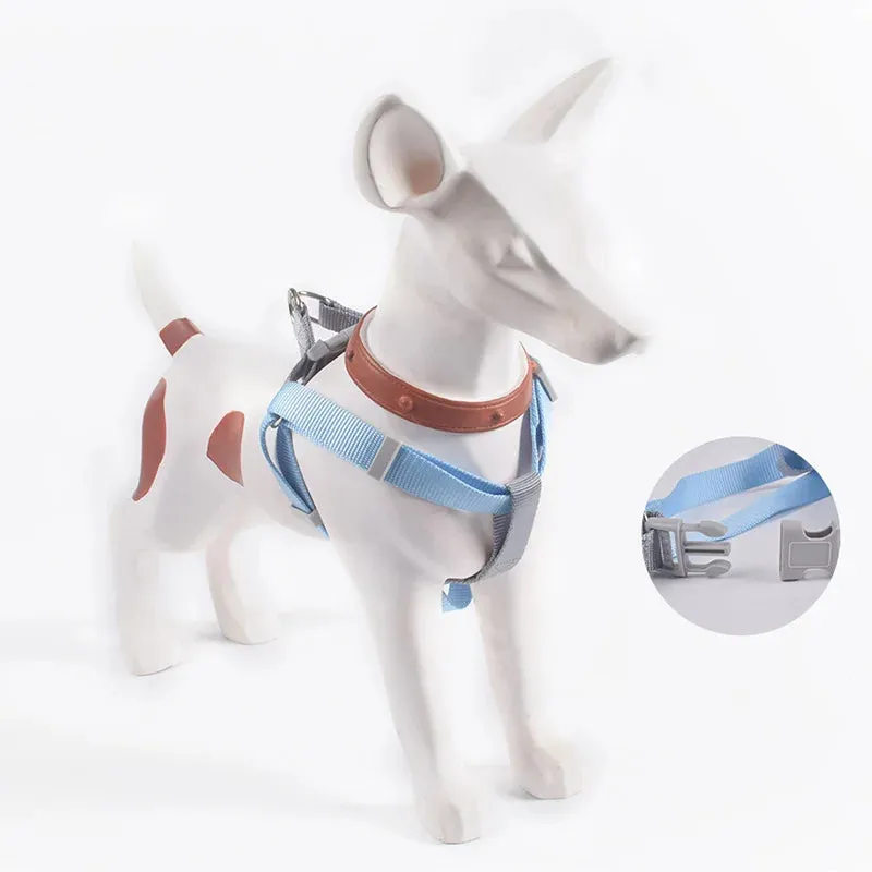 Adjustable Dog Harness Vest with Leash for Small Pets
