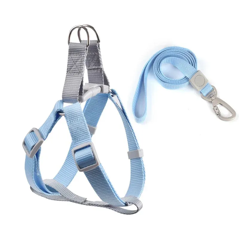 Adjustable Dog Harness Vest with Leash for Small Pets