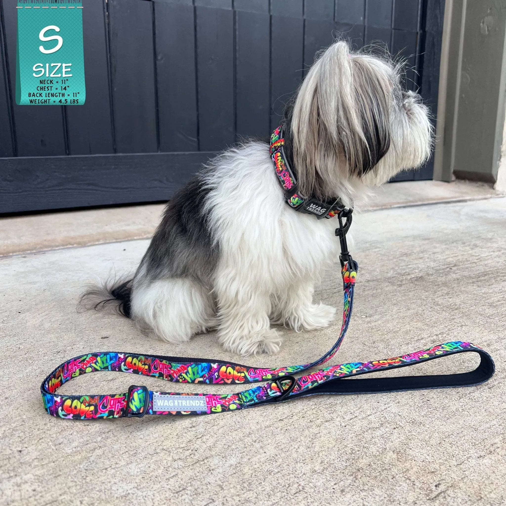 Adjustable Dog Leash | Street Graffiti
