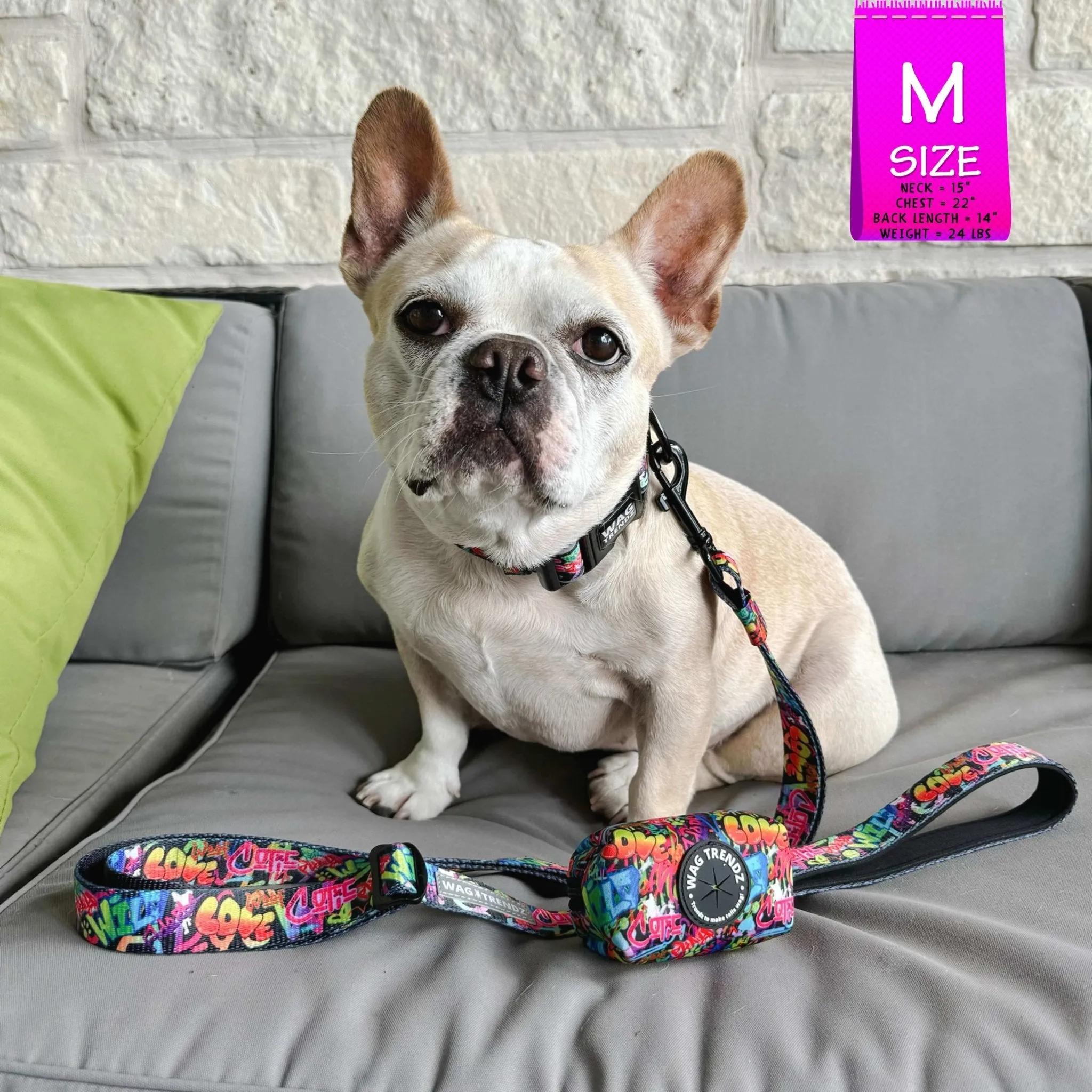Adjustable Dog Leash | Street Graffiti