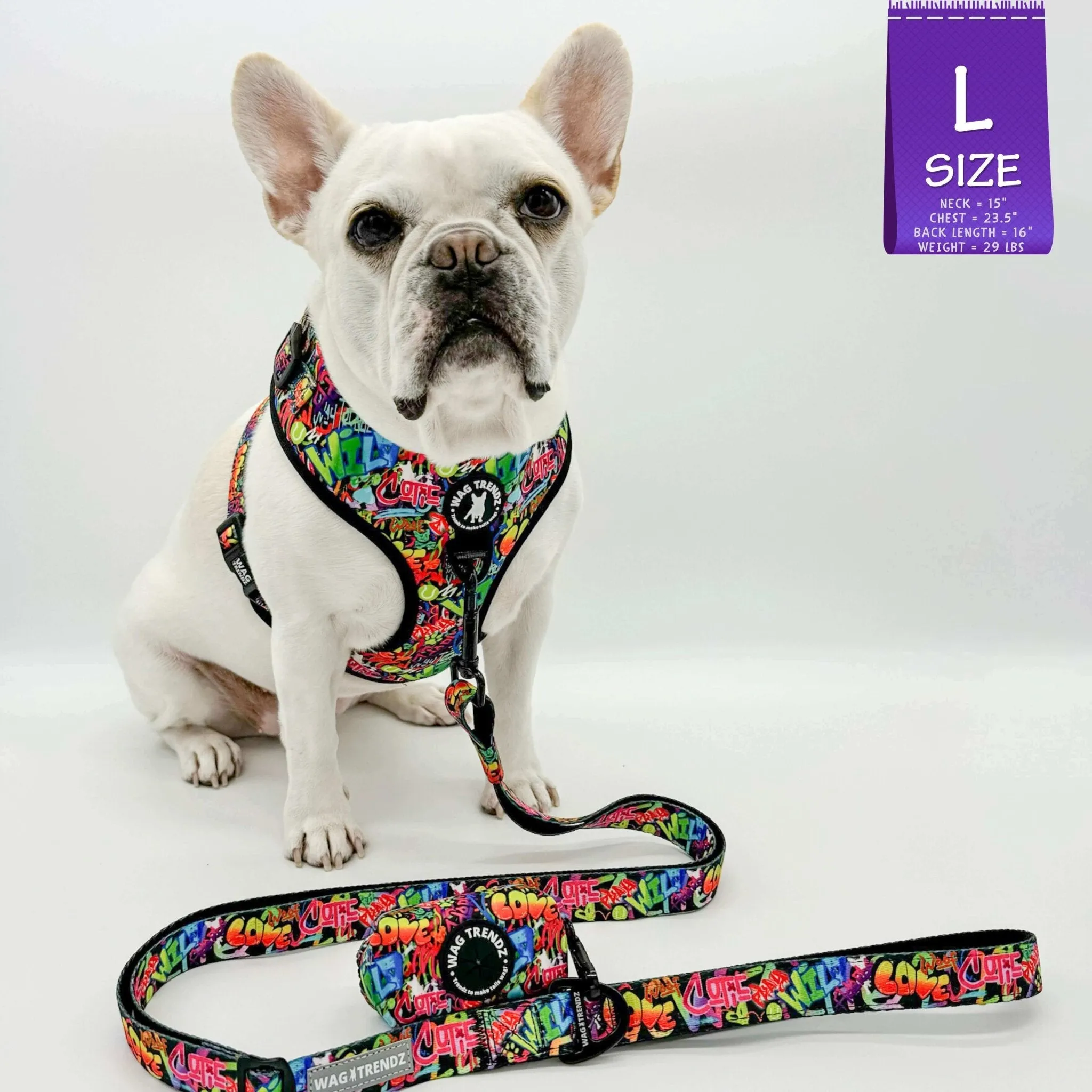 Adjustable Dog Leash | Street Graffiti