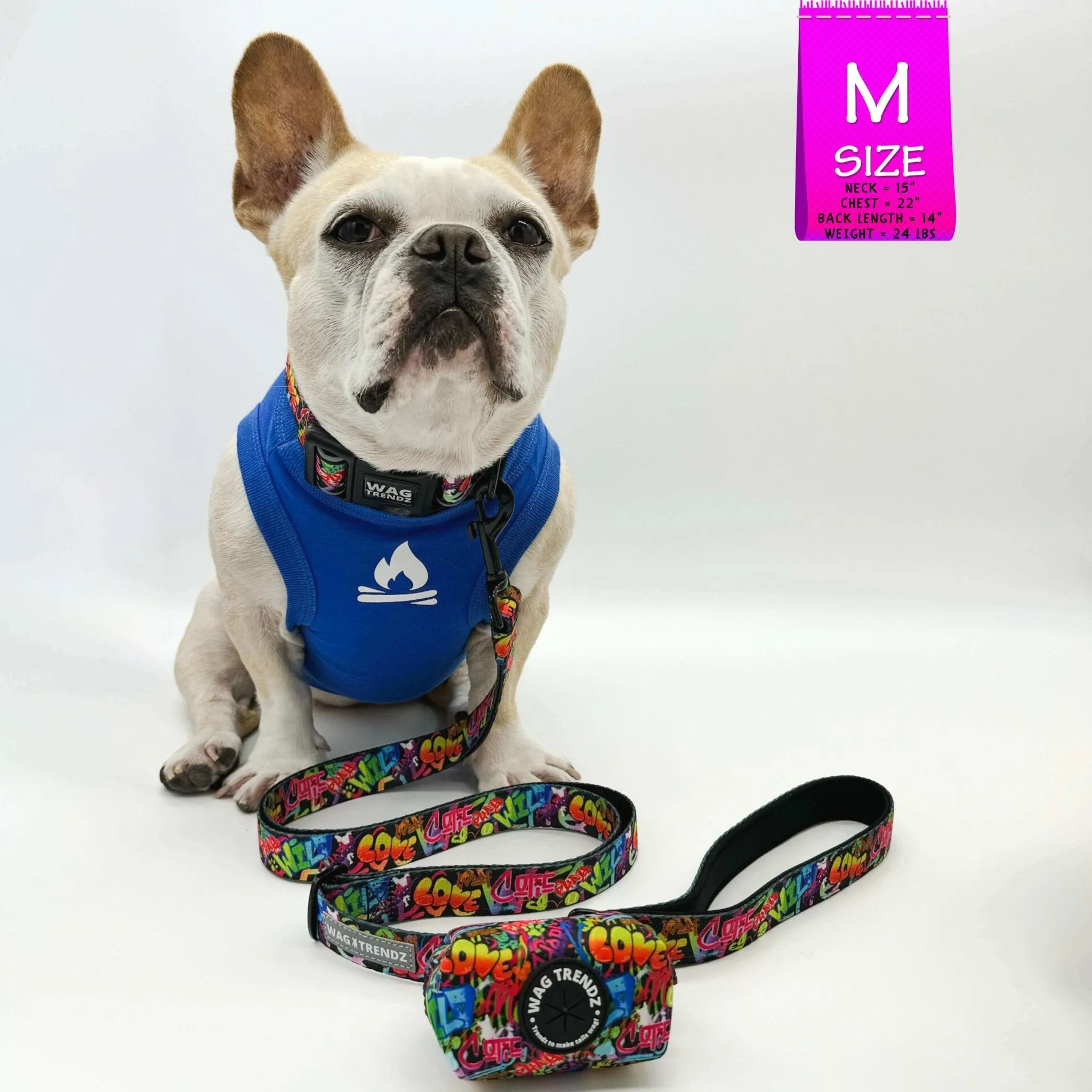 Adjustable Dog Leash | Street Graffiti