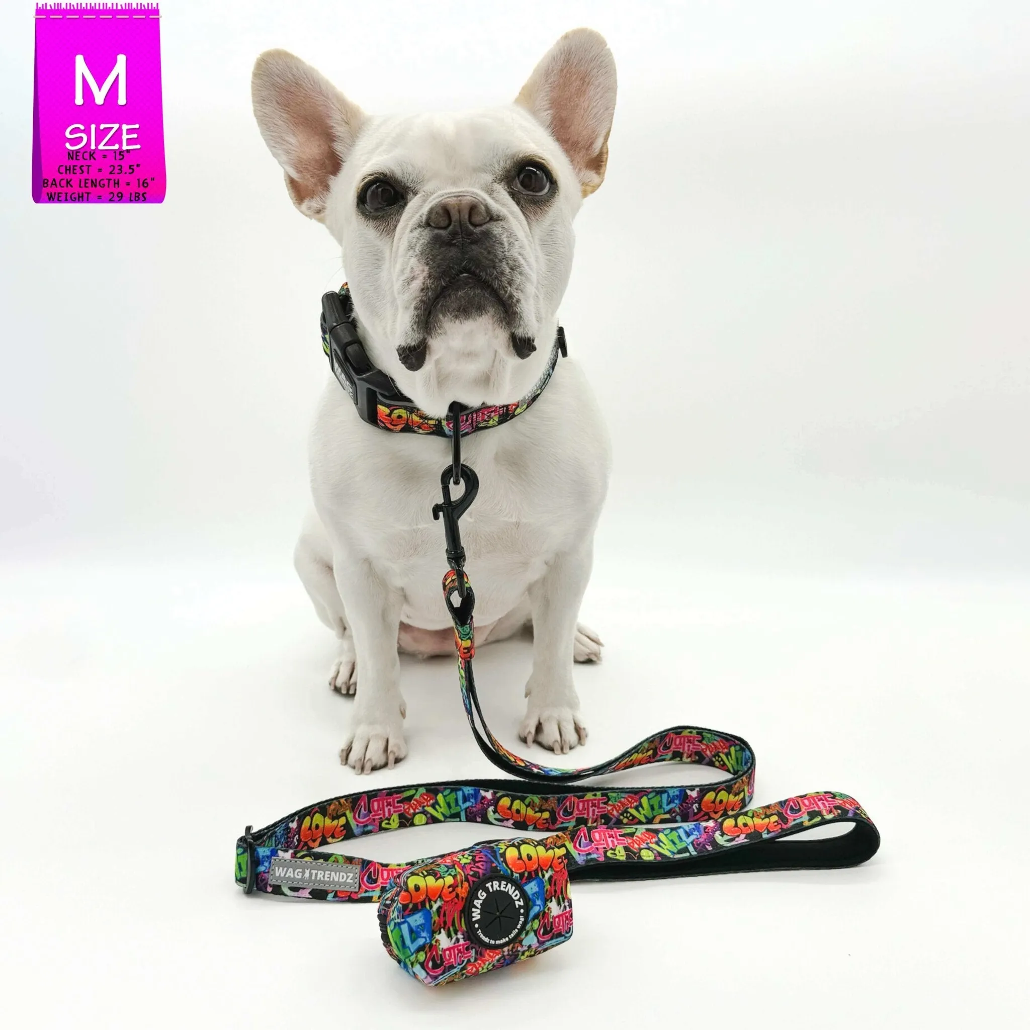 Adjustable Dog Leash | Street Graffiti