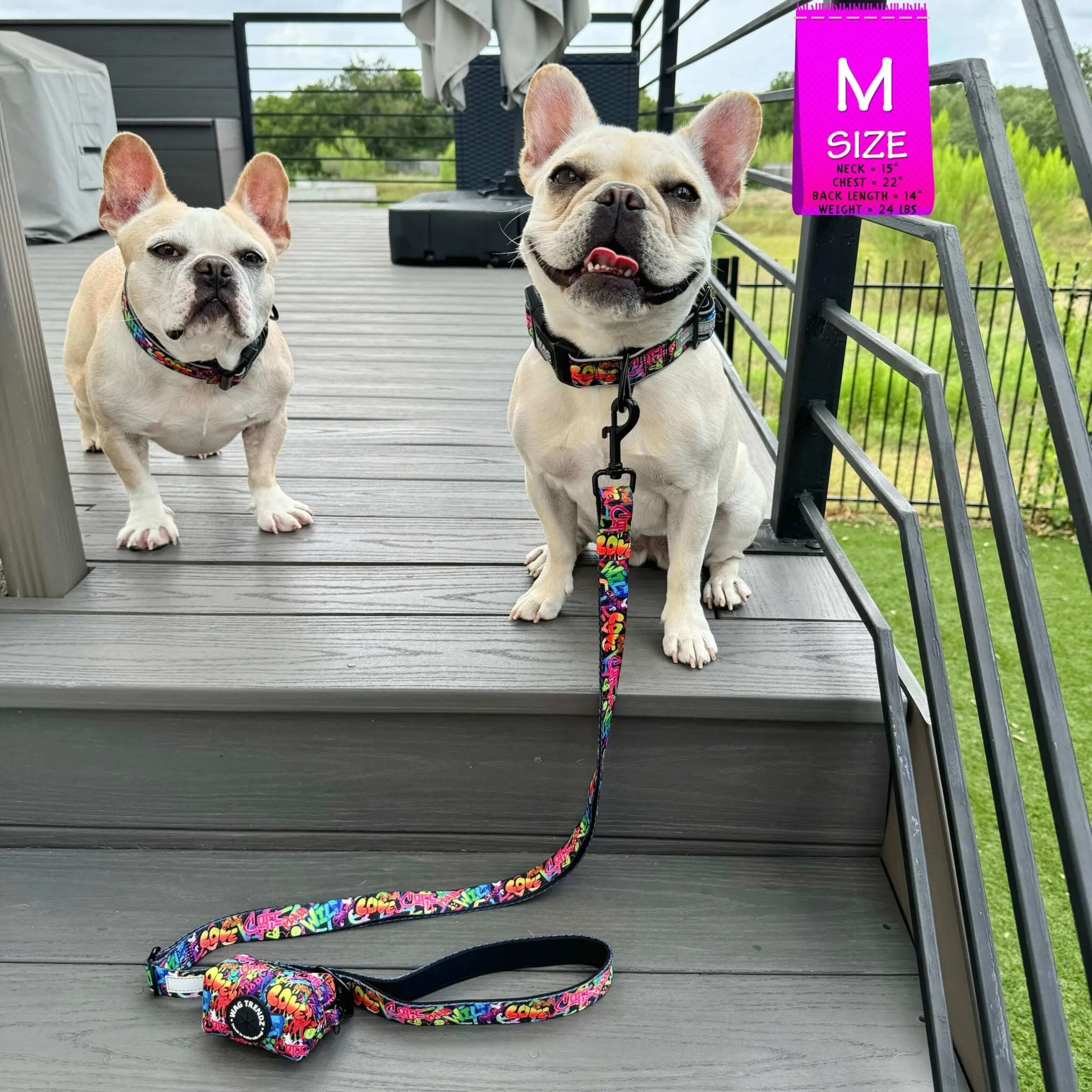 Adjustable Dog Leash | Street Graffiti