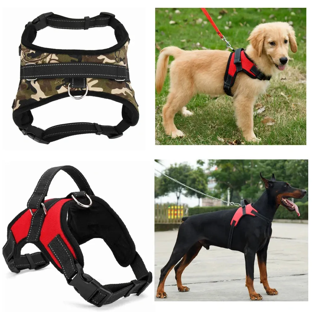 Adjustable dog pet harness collar.