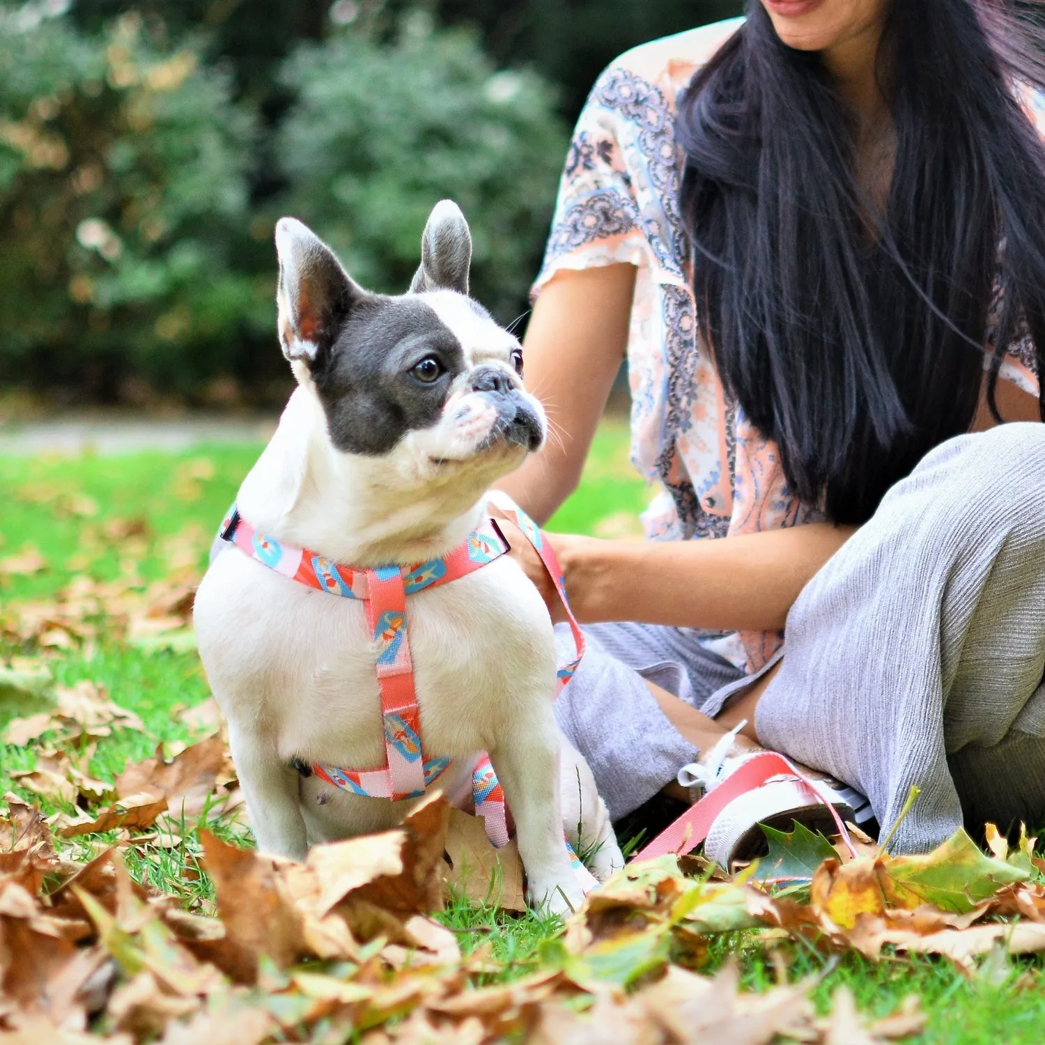 Adjustable Dog Strap Harness - Pink Lady