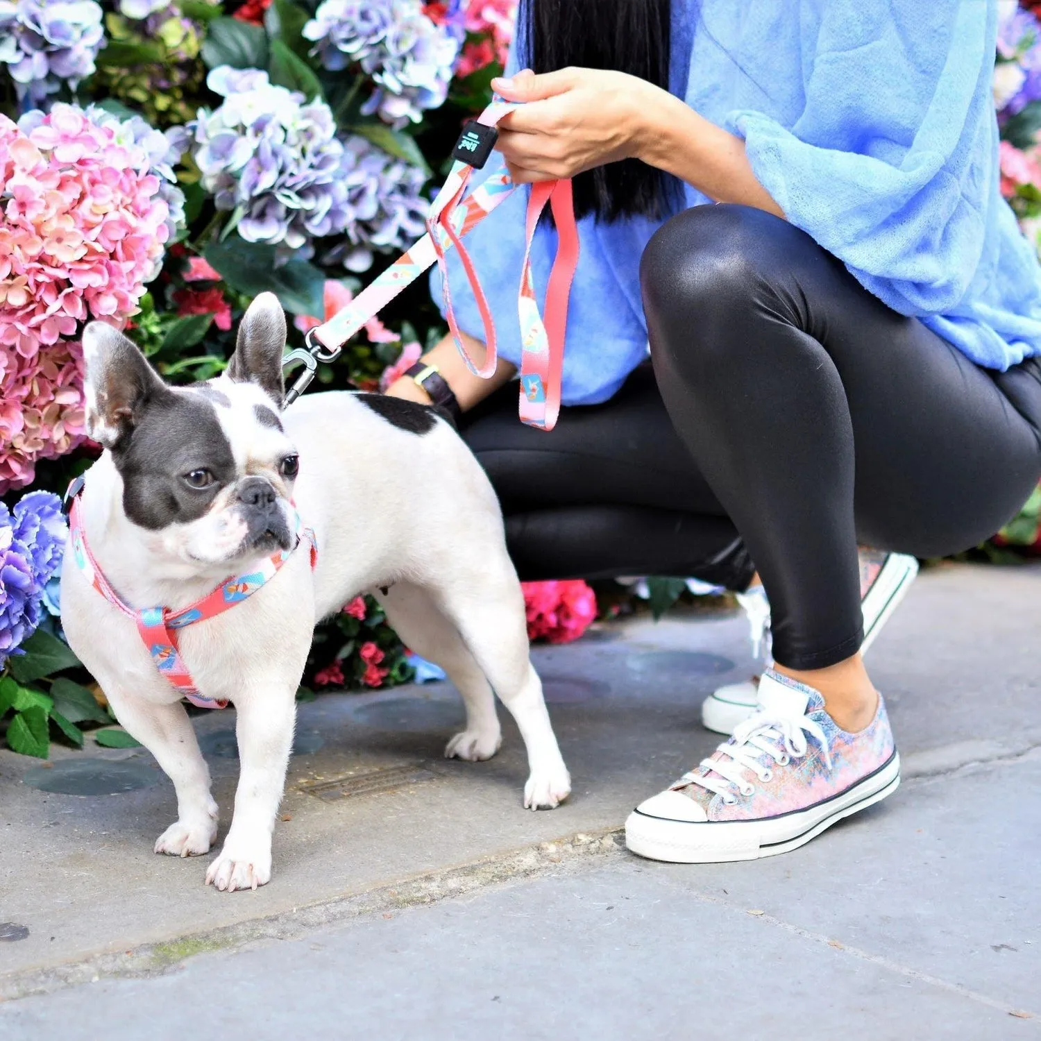 Adjustable Dog Strap Harness - Pink Lady