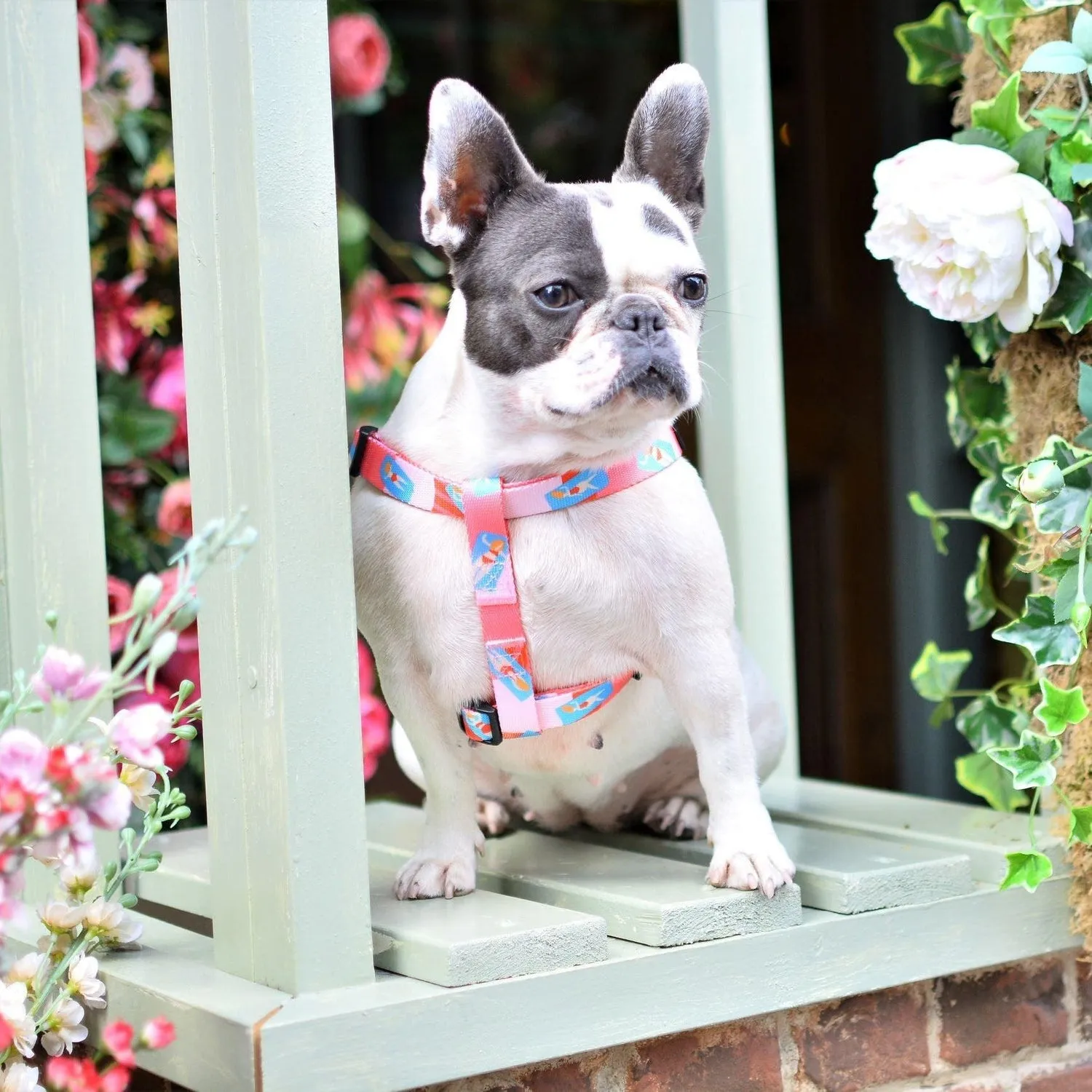 Adjustable Dog Strap Harness - Pink Lady