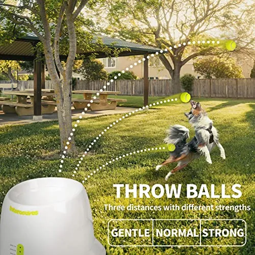 AFP Automatic Dog Ball Launcher Interactive Puppy Pet Ball Indoor Thrower Machine for Small and Medium Size Dogs, 3 Balls Included (2 inch)