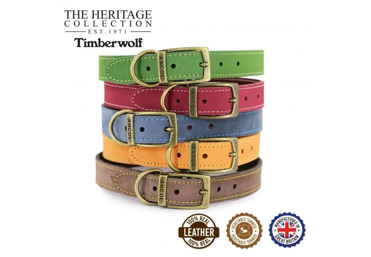 Ancol - Timberwolf Leather Collar - Blue - 45-54cm (Size 6)