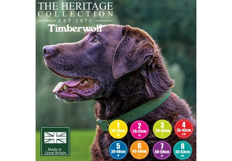 Ancol - Timberwolf Leather Collar - Blue - 45-54cm (Size 6)