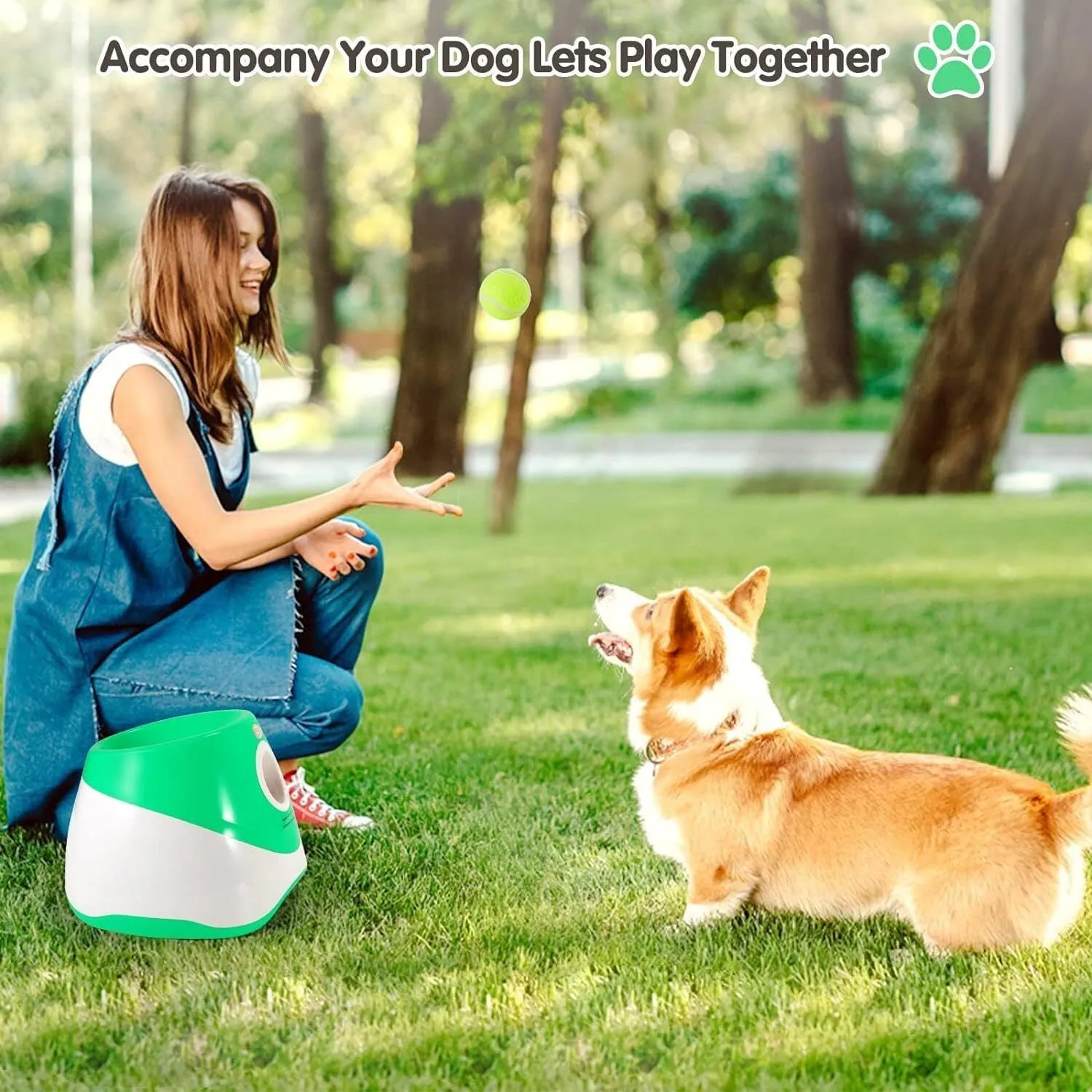 Automatic Ball Launcher Dog Throwing Machines