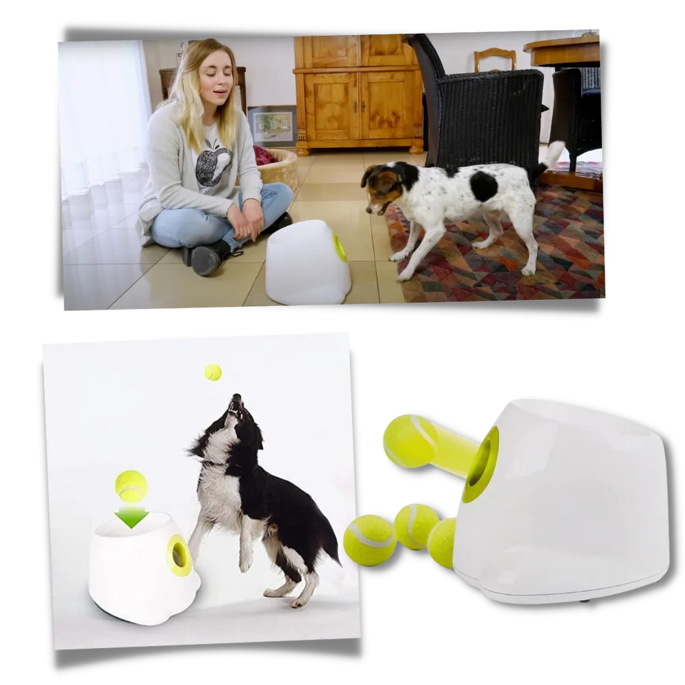 Automatic Dog Ball Launcher