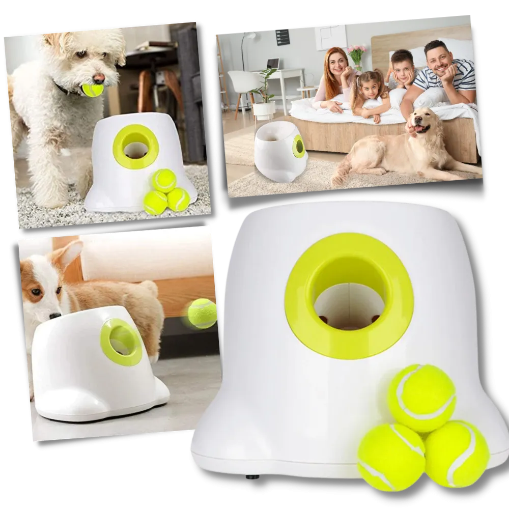 Automatic Dog Ball Launcher