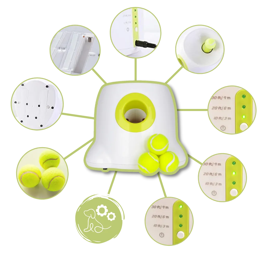 Automatic Dog Ball Launcher