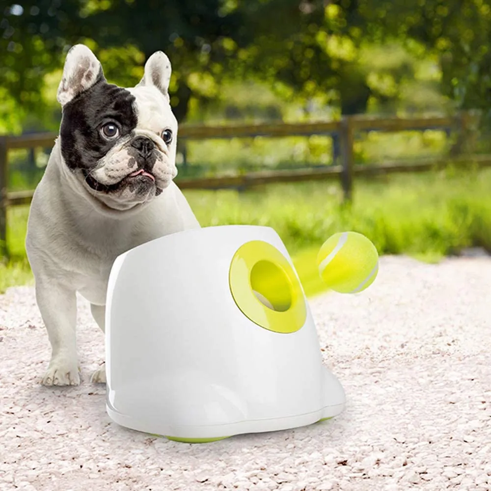Automatic Tennis Ball Launcher, Dog Training Toy