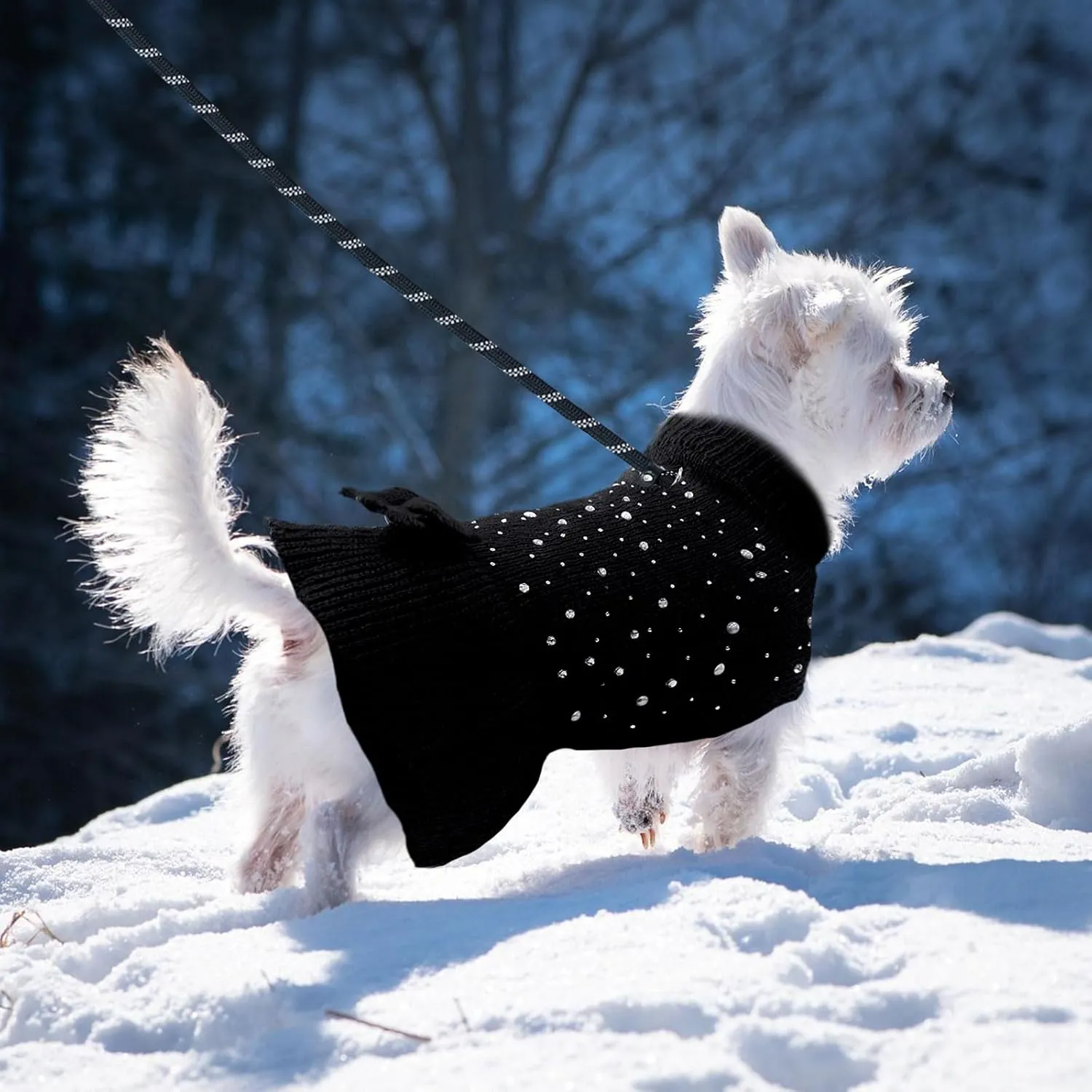 BAEJMJK Dog Sweater Dress with Leash Hole for Small Medium Dogs Warm Turtleneck Girl Dog Pullover Knitwear Cute Pet Puppy Cat Knitted Clothes for Yorkie Shih Tzu MalteseBlack,X-Large
