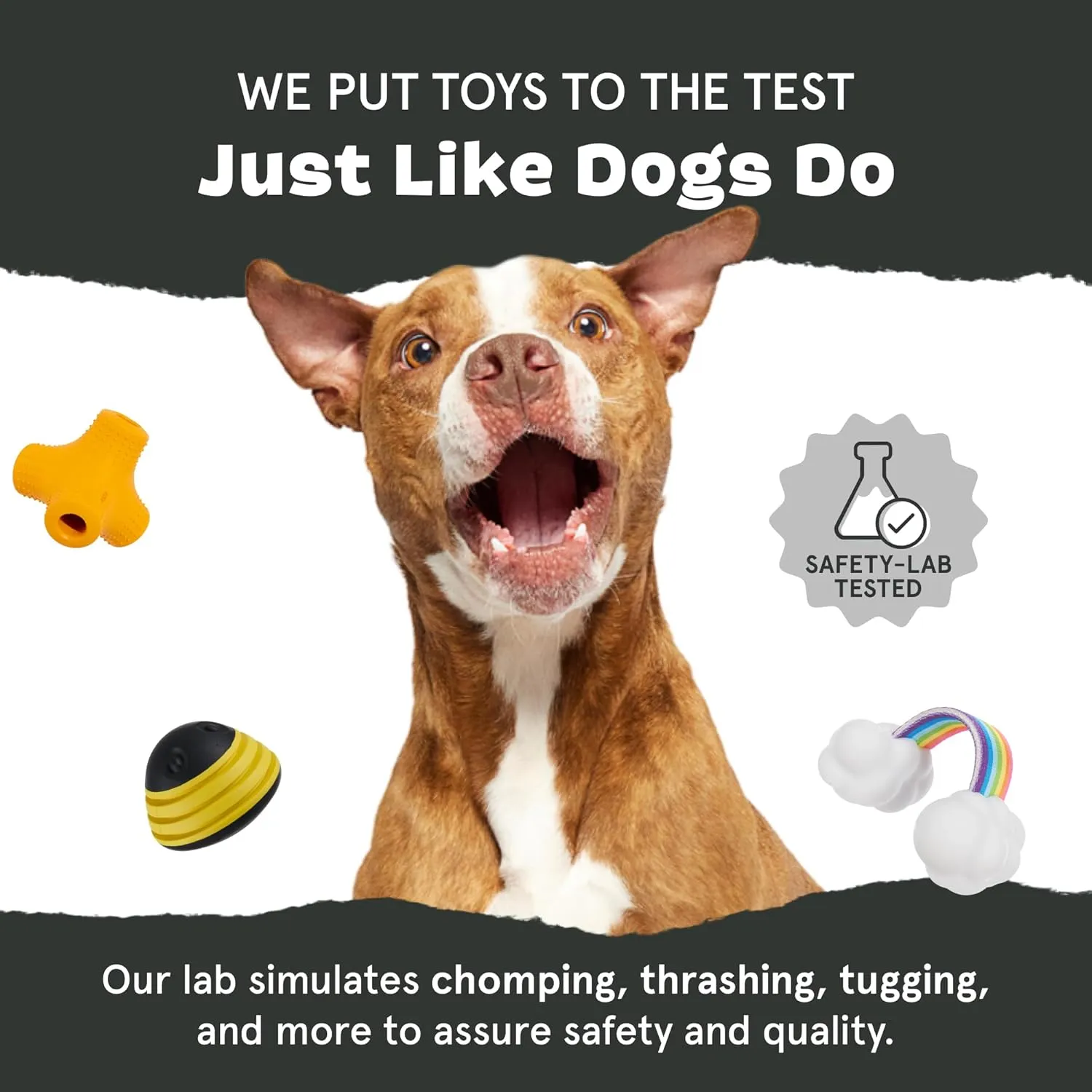 Barkbox Hambone Super Chewer Tough Dog Chew Toy for Aggressive Chewers, Plush Cover with Rubber Core - 2 Toys in 1  Two Layer Treat Dispensing Dog Toy for Large Dogs
