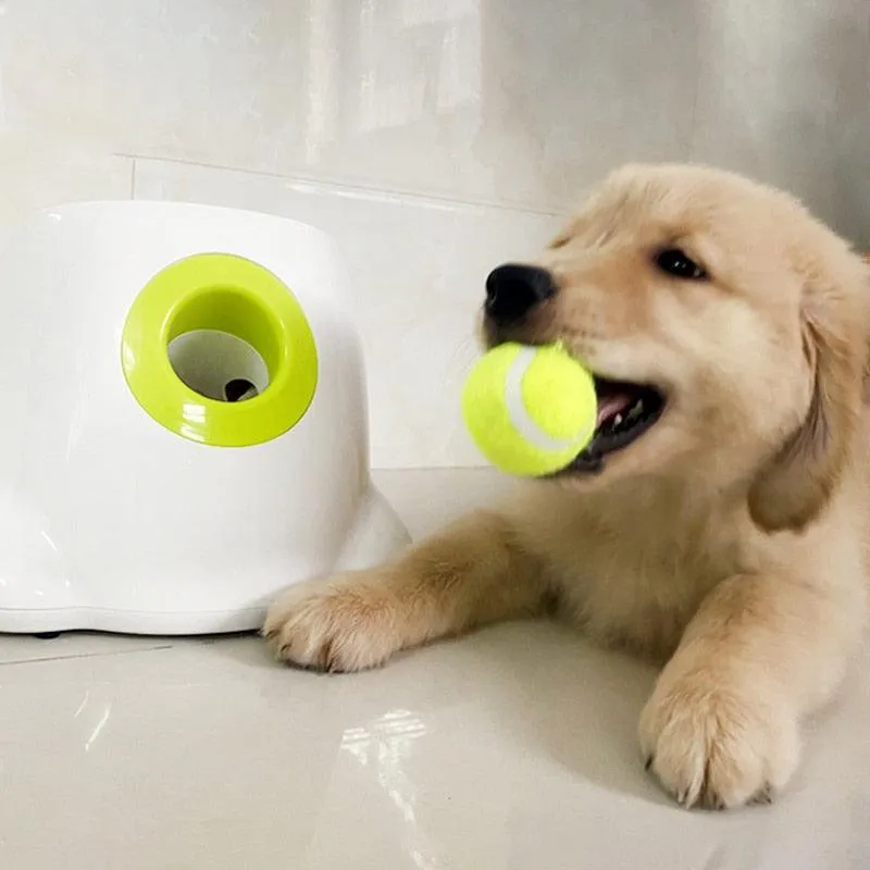 Best automatic dog ball launcher