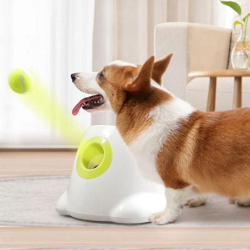 Best automatic dog ball launcher