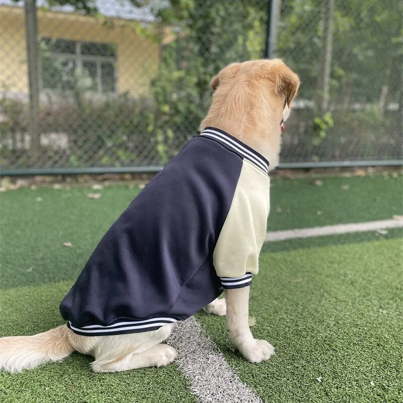 Big Dog Varsity Player Jacket