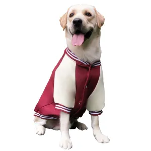 Big Dog Varsity Player Jacket