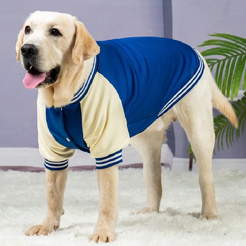 Big Dog Varsity Player Jacket