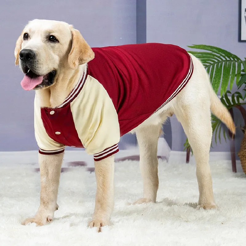 Big Dog Varsity Player Jacket