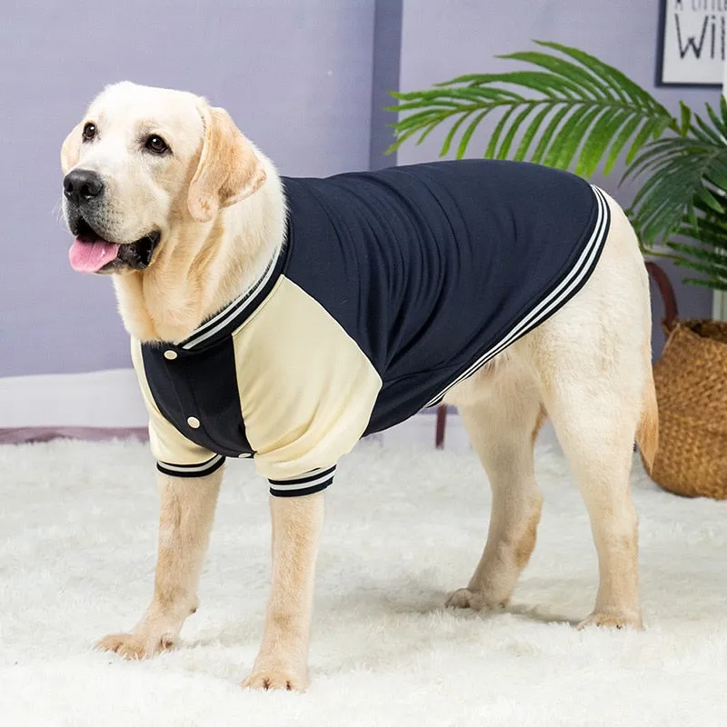 Big Dog Varsity Player Jacket