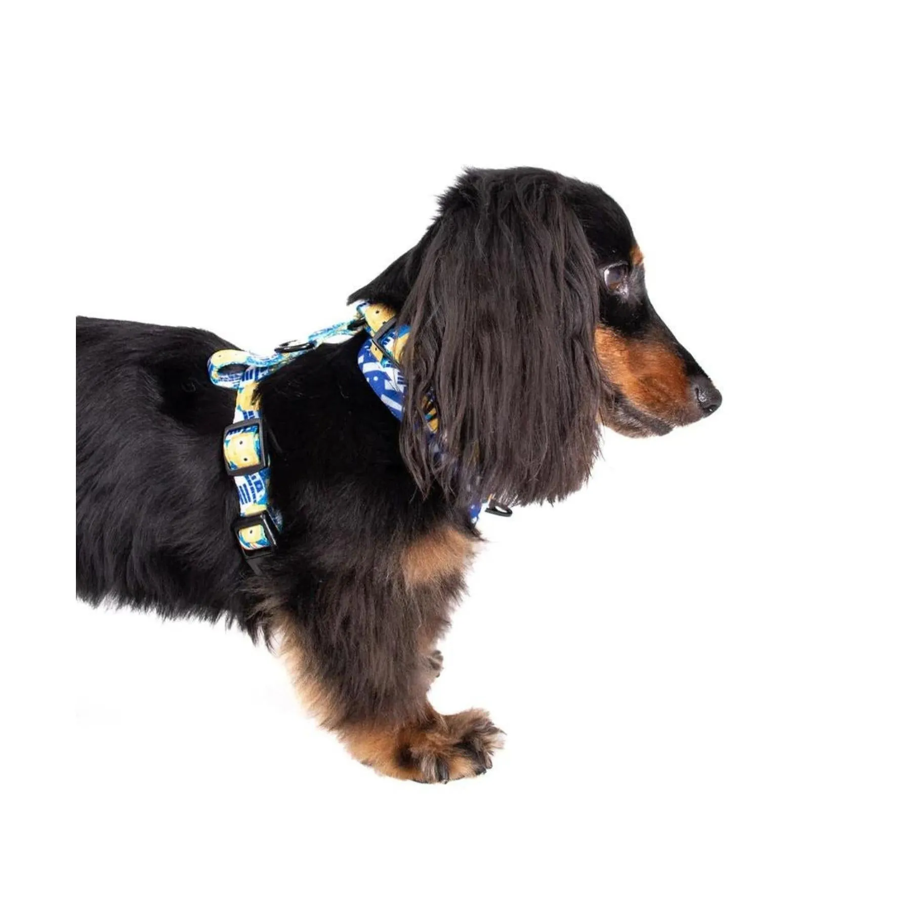 C-3PO and R2-D2 Adjustable Harness
