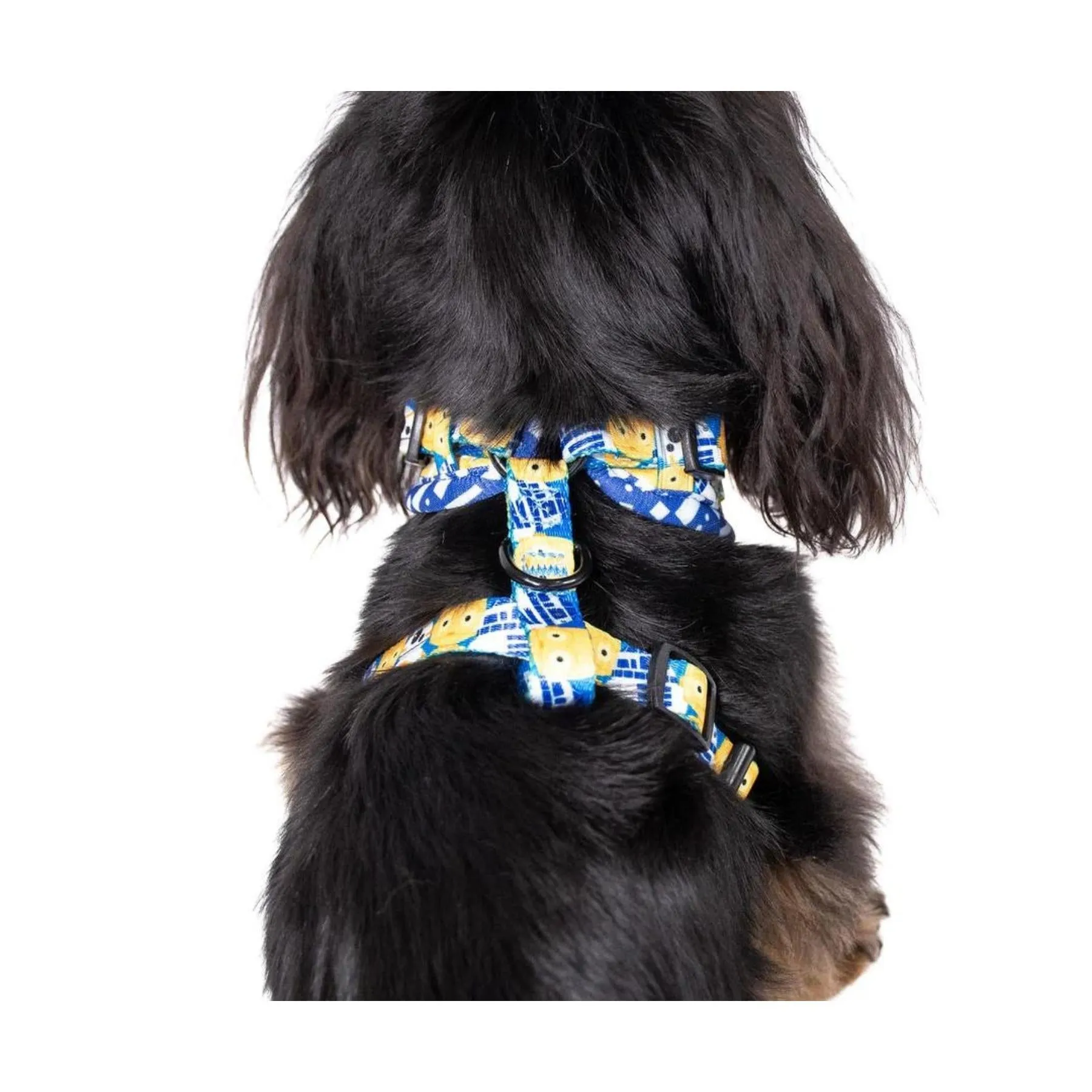 C-3PO and R2-D2 Adjustable Harness