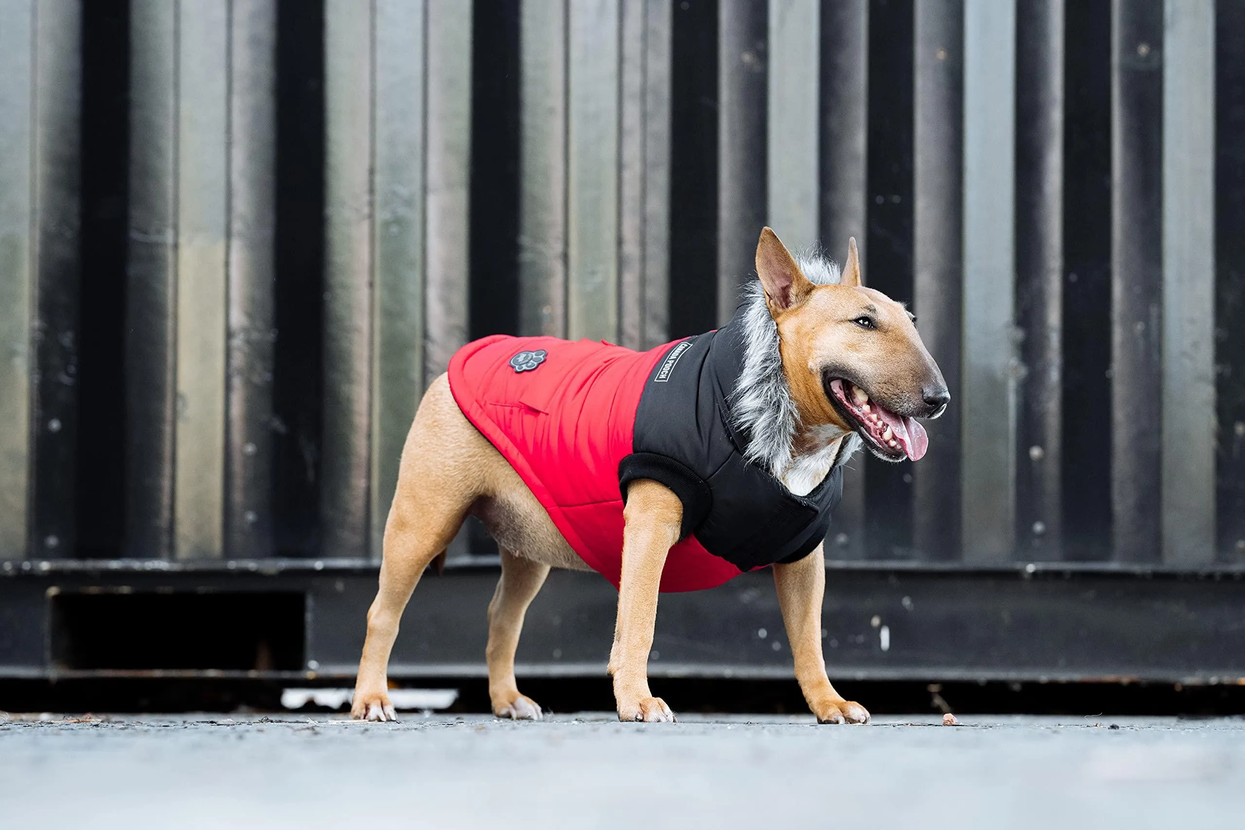 Canada Pooch True North Parka Size 16 Red Insulated Dog Coat