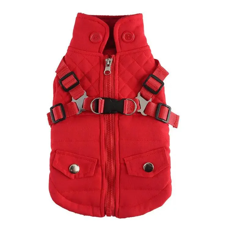 Chill-Proof Your Pup: Cheap Winter Jacket