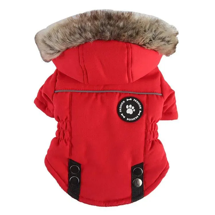Chill-Proof Your Pup: Cheap Winter Jacket