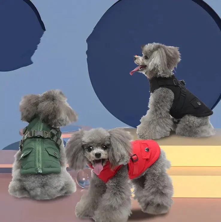 Chill-Proof Your Pup: Cheap Winter Jacket