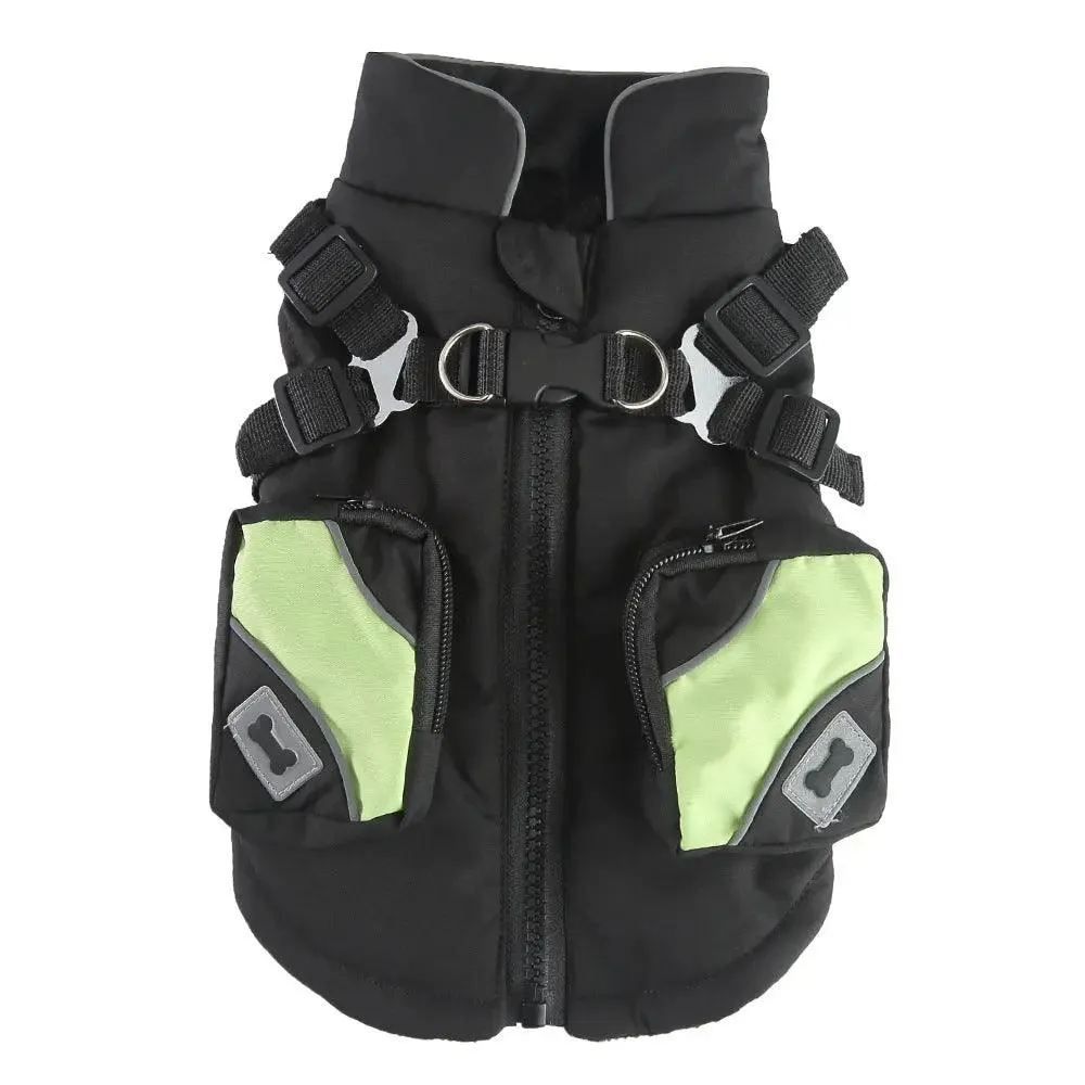 Chill-Proof Your Pup: Cheap Winter Jacket