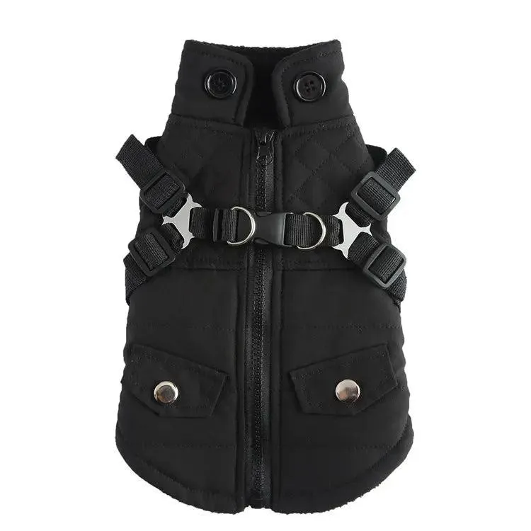 Chill-Proof Your Pup: Cheap Winter Jacket