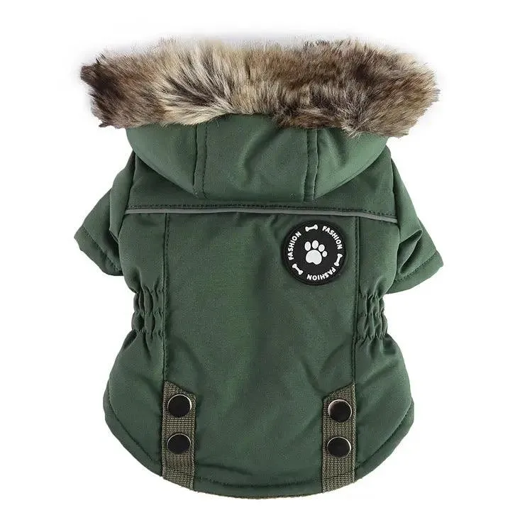 Chill-Proof Your Pup: Cheap Winter Jacket