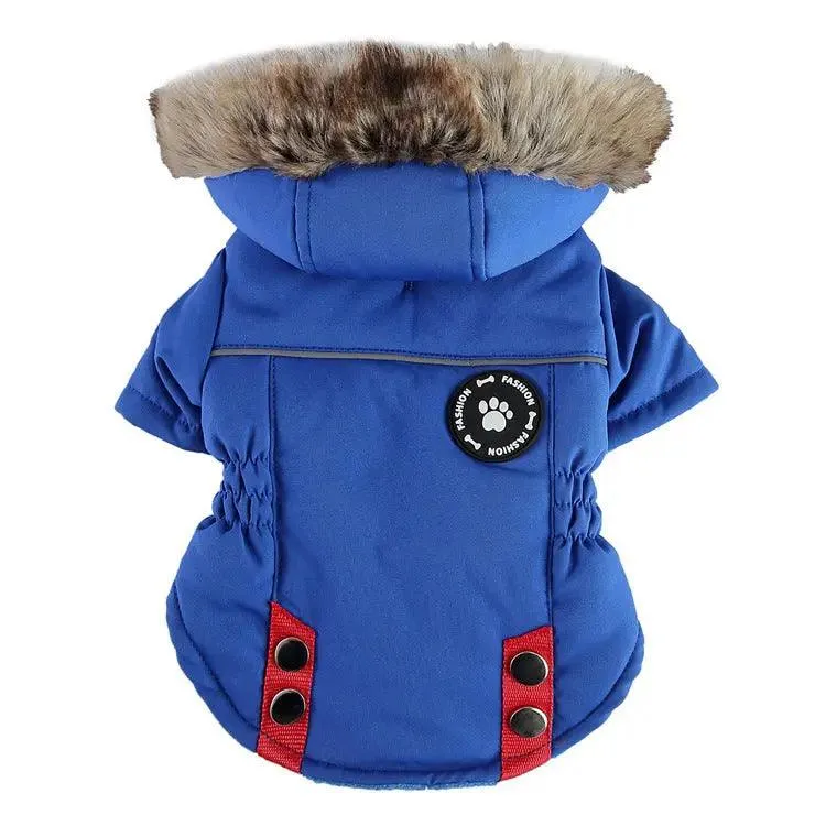Chill-Proof Your Pup: Cheap Winter Jacket