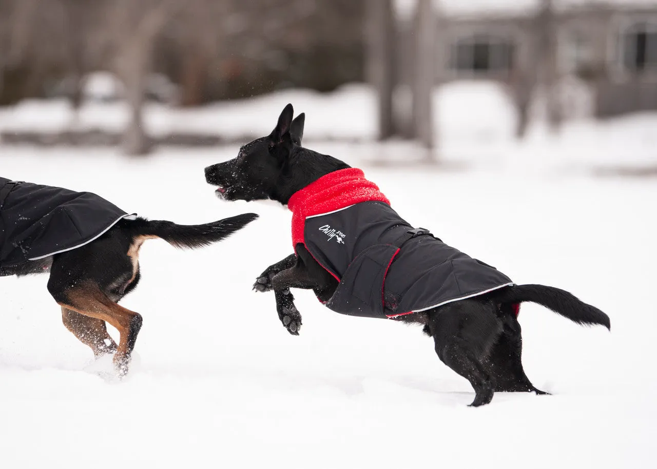 Chilly Dogs Jacket Great White North Standard Fit