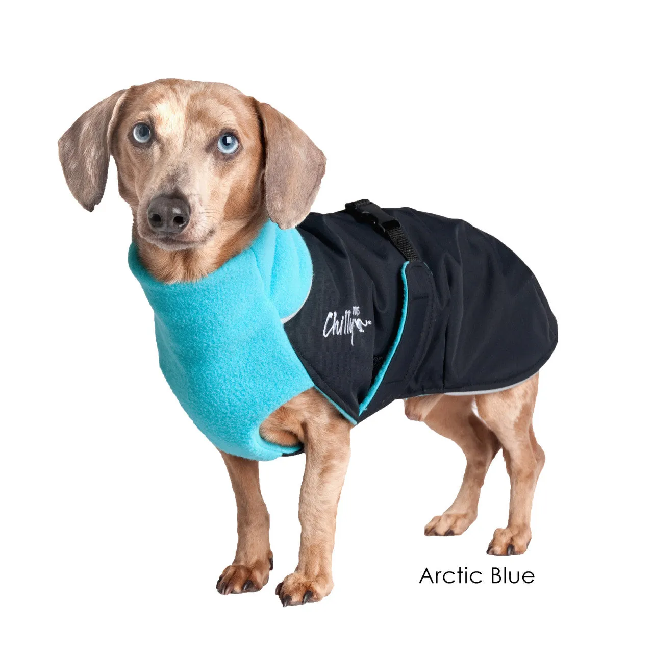 Chilly Dogs Jacket Great White North Standard Fit