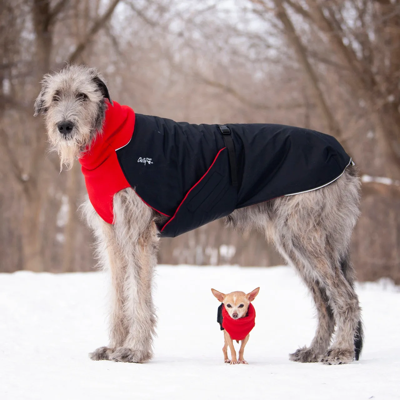 Chilly Dogs Jacket Great White North Standard Fit