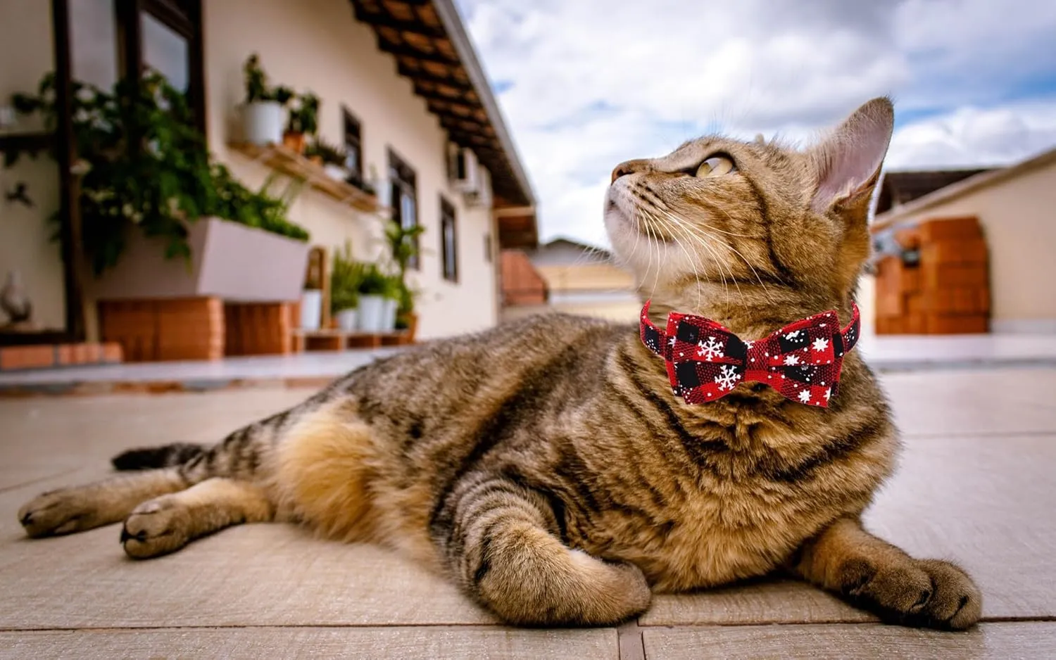 Christmas Cat Collars Breakaway with Bow Tie and Bandana, 2 Pack Red Green Plaid Christmas Kitten Collar with Bell, Removable Bowtie Bandana Cat Collar for Cats Kittens (S, Christmas red)