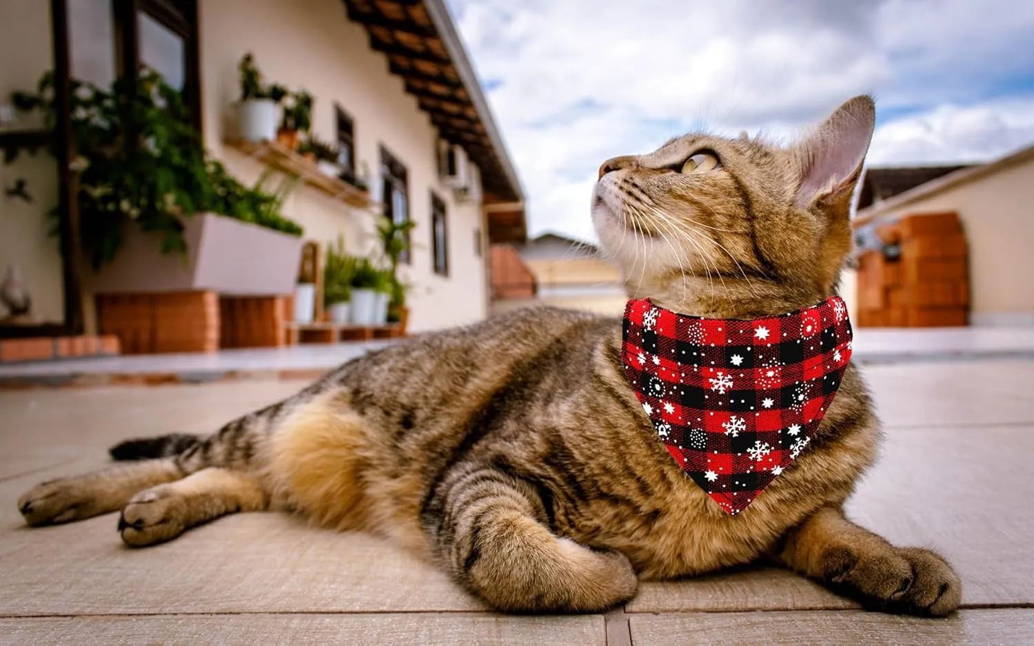 Christmas Cat Collars Breakaway with Bow Tie and Bandana, 2 Pack Red Green Plaid Christmas Kitten Collar with Bell, Removable Bowtie Bandana Cat Collar for Cats Kittens (S, Christmas red)