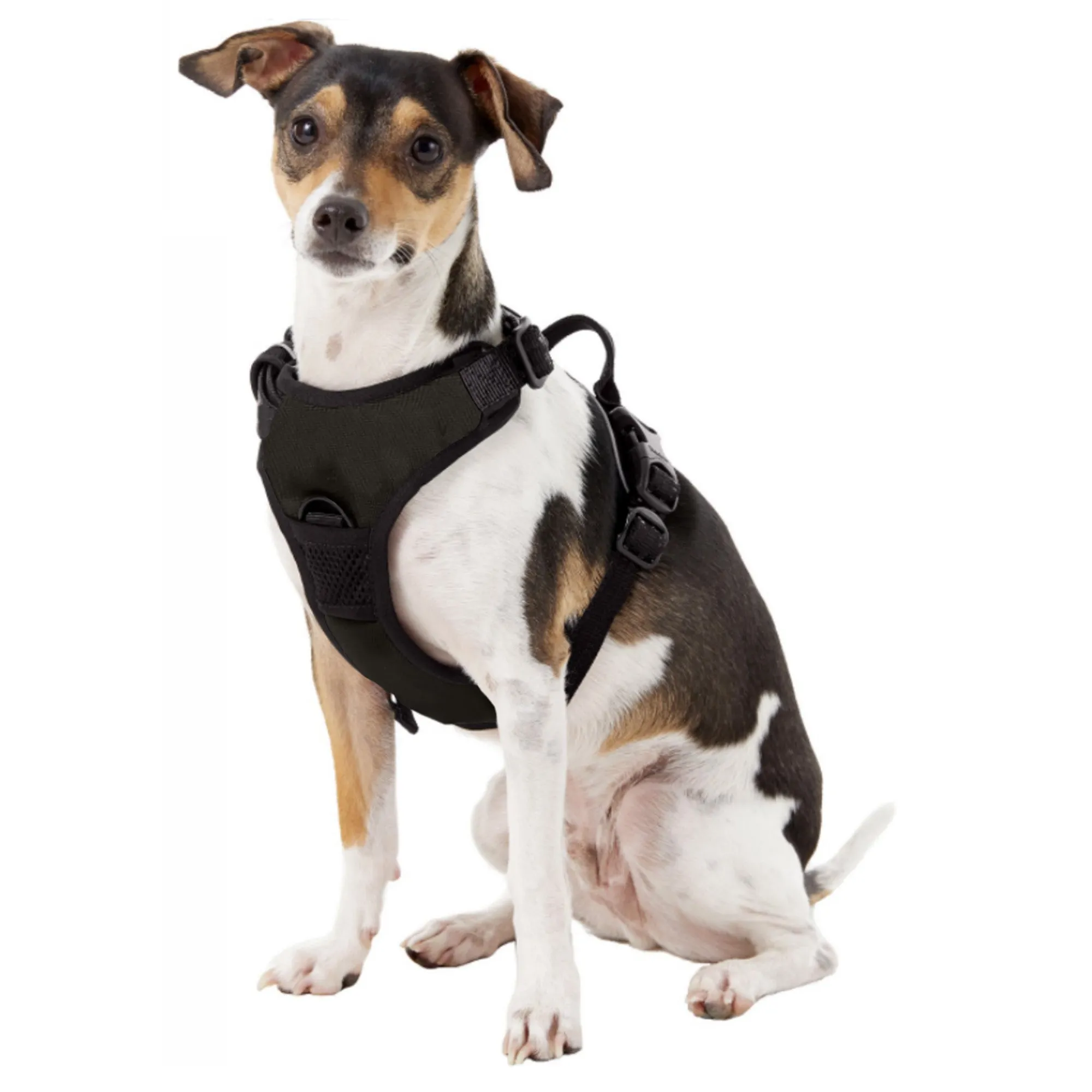 Clemson University Front Clip Pet Harness