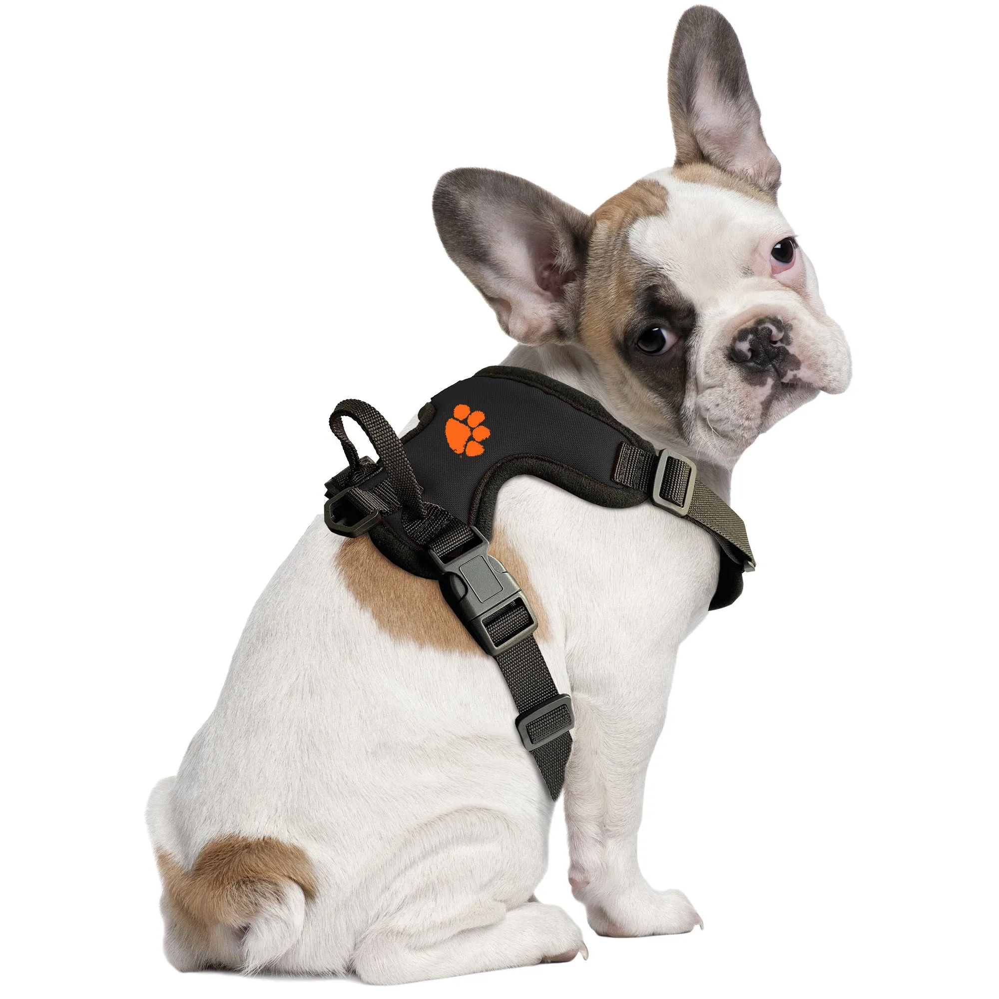 Clemson University Front Clip Pet Harness