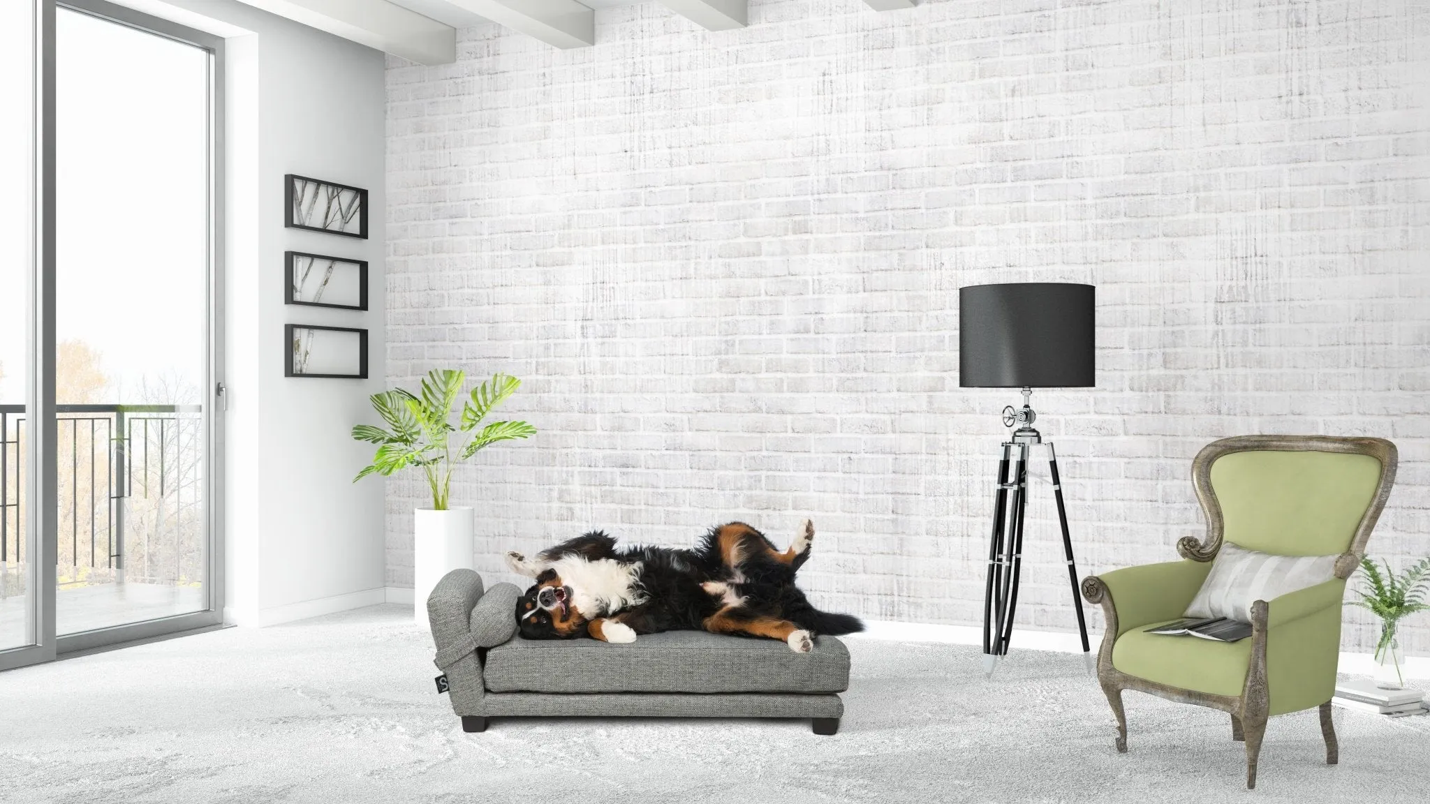 Club Nine Pets Bada Orthopedic Dog Bed in Metal