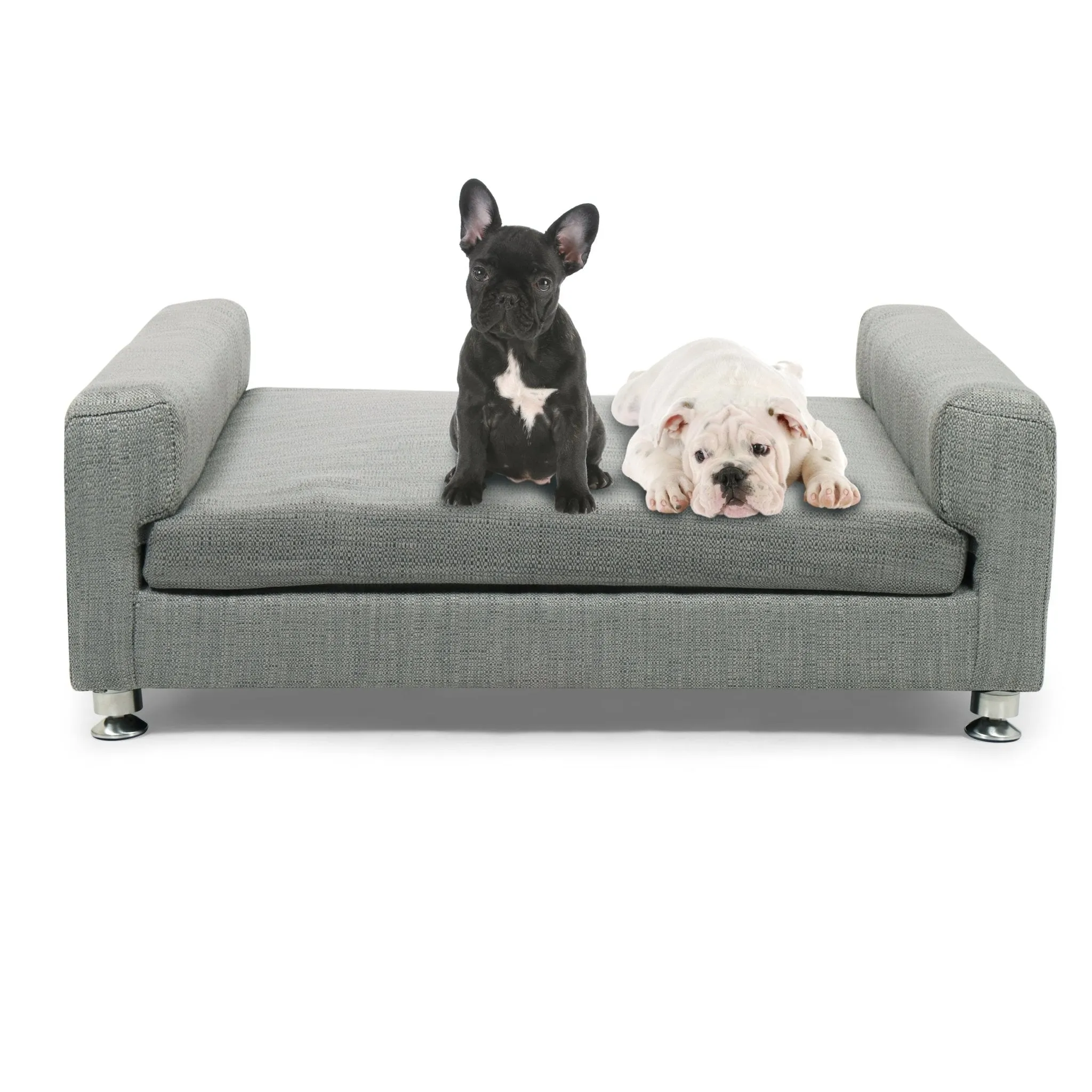Club Nine Pets Cuccilo Orthopedic Dog Bed in Iron