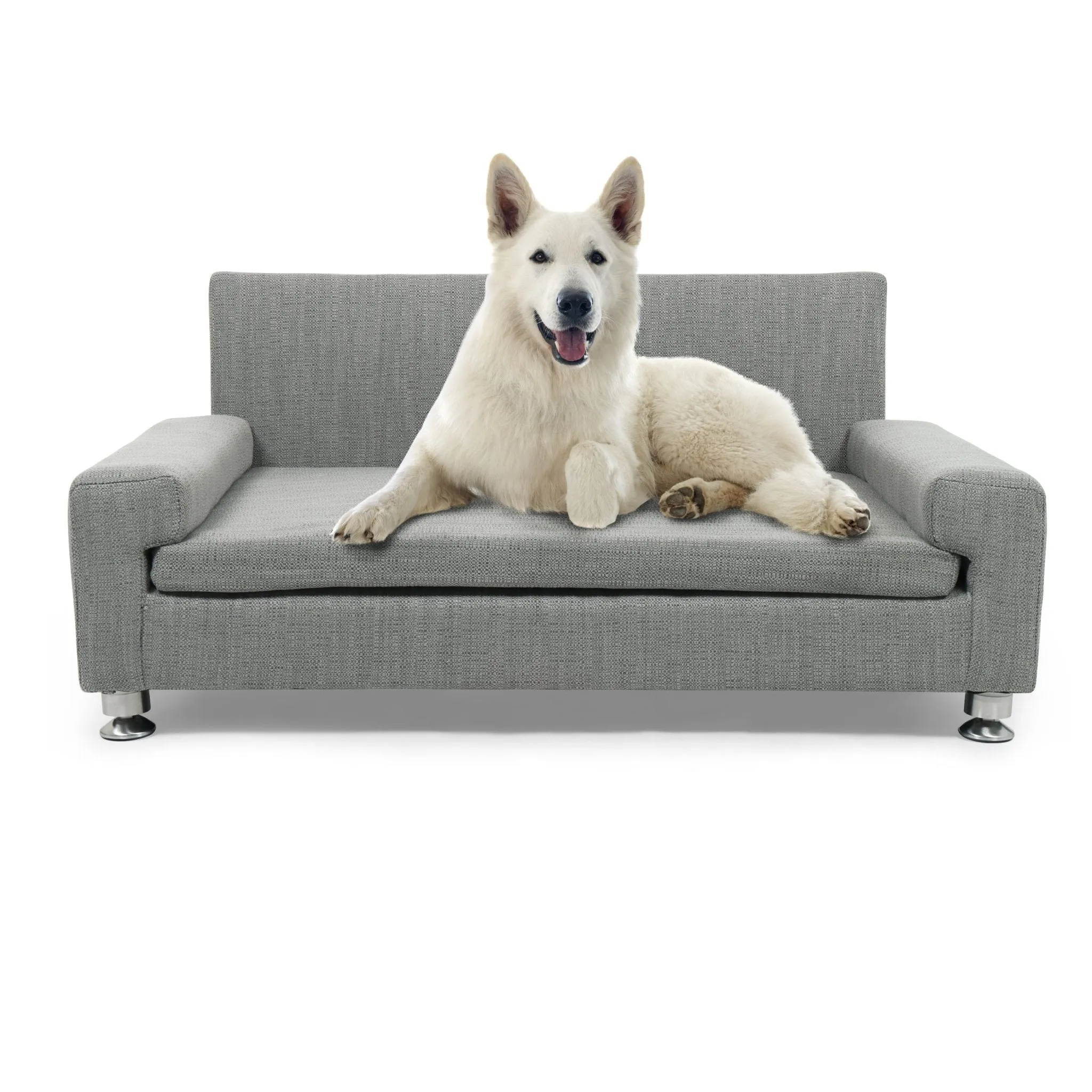 Club Nine Pets Cuccilo Orthopedic Dog Bed in Iron