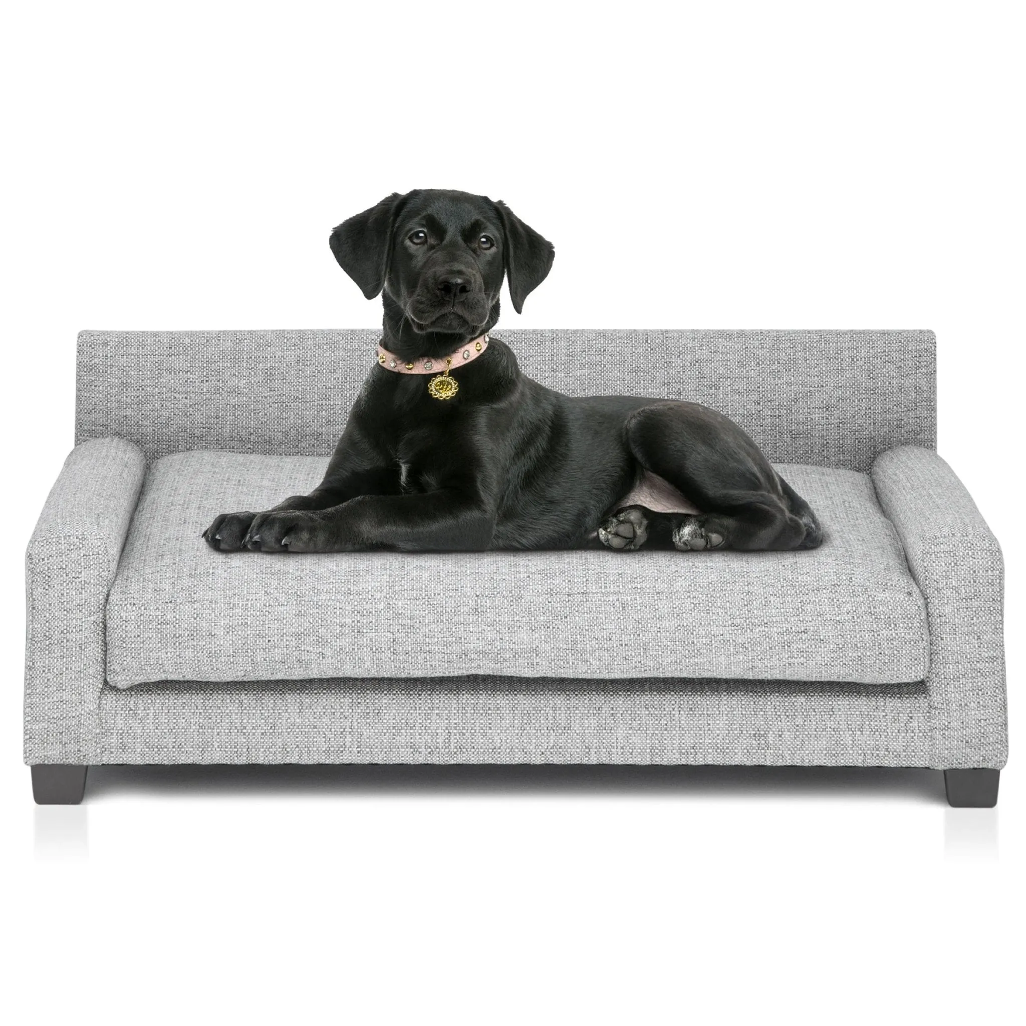 Club Nine Pets Metro Orthopedic Dog Bed in Metal